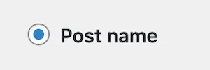 WordPress Permalinks Post Name Option