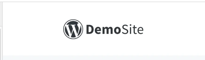 DemoSite Logo on WordPress Website