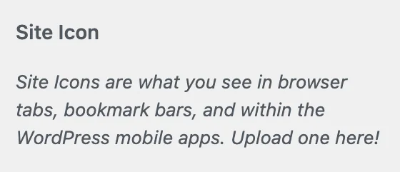 Site Icon – Site icons are what you see in browser tabs, bookmark bars, and within the WordPress mobile apps. Upload one here!