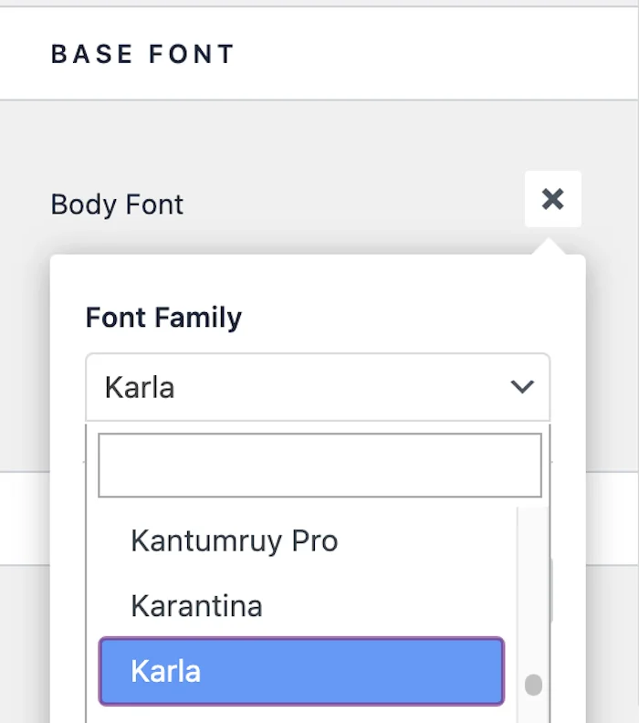 wordpress astra theme typography options