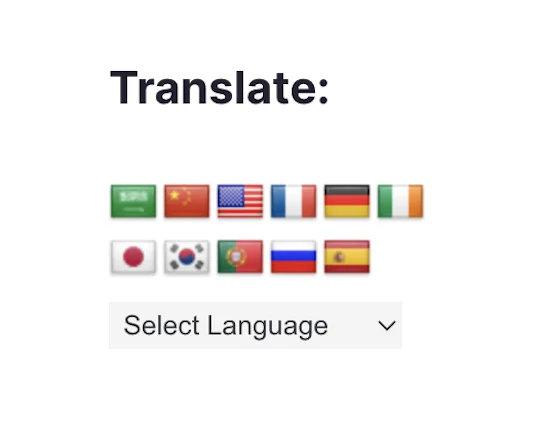 Google Translate Option on WordPress – With Flags