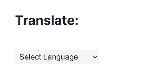 Google Translate Option on WordPress – Without Flags