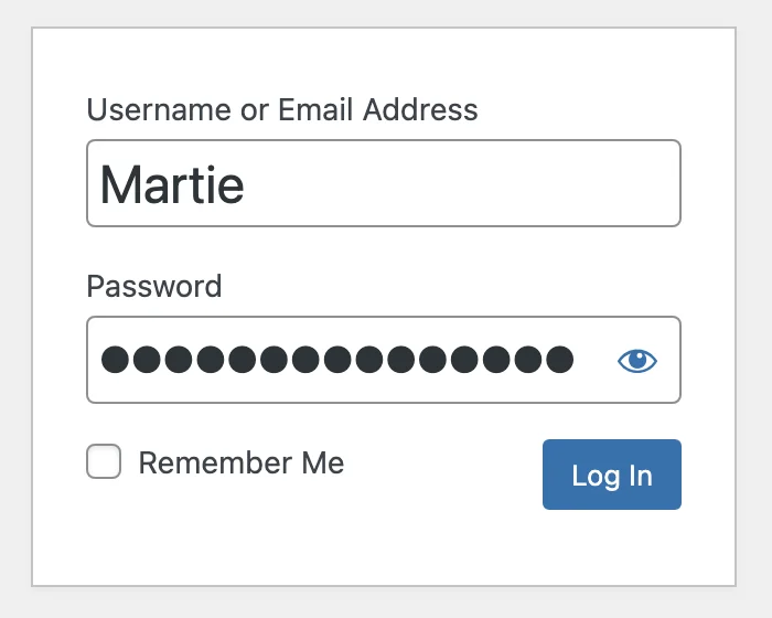 Logging into WordPress Website