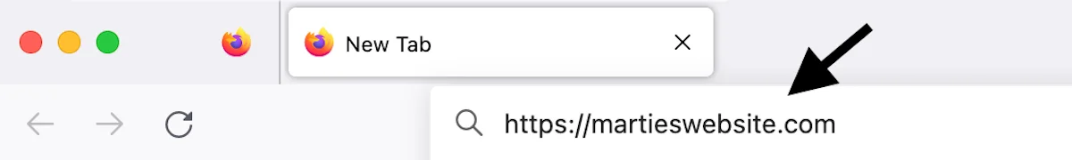 Website Domain Name Typed into FireFox Browser