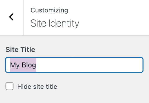 Change WordPress Site Title