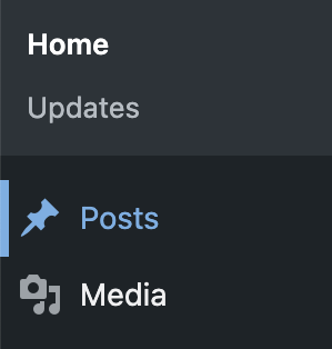 WordPress Posts Option in Dashboard Menu