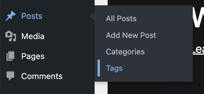 WordPress Dashboard (Menu): Hover over Posts and click into Tags.